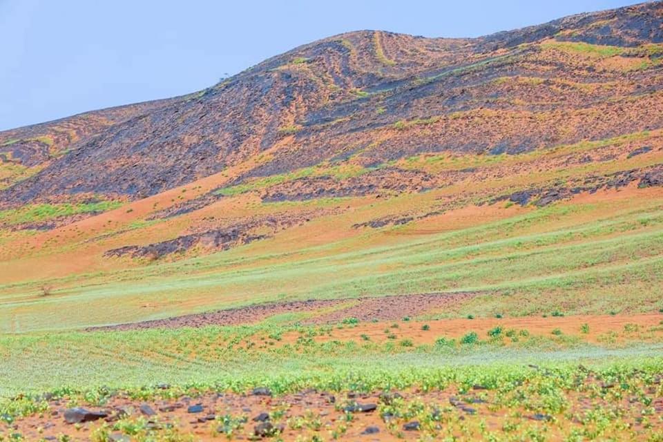 Hotel Auberge Dinosaur Kem Kem Tafraoute Sidi Ali Exteriér fotografie