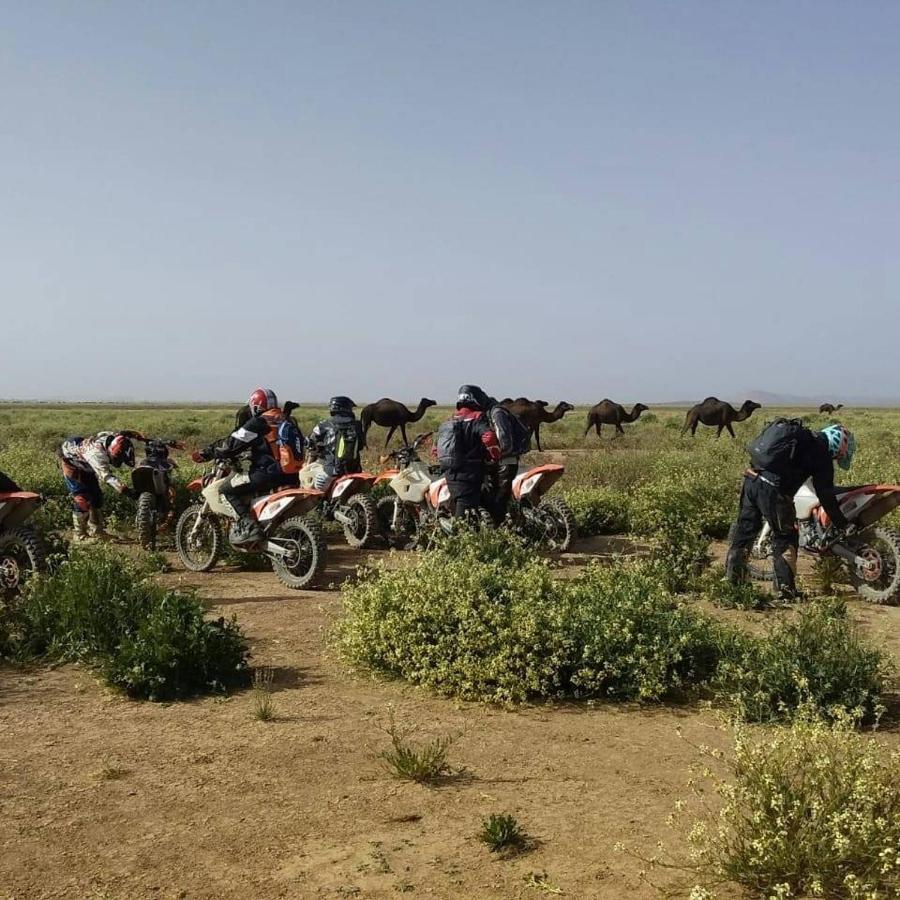 Hotel Auberge Dinosaur Kem Kem Tafraoute Sidi Ali Exteriér fotografie