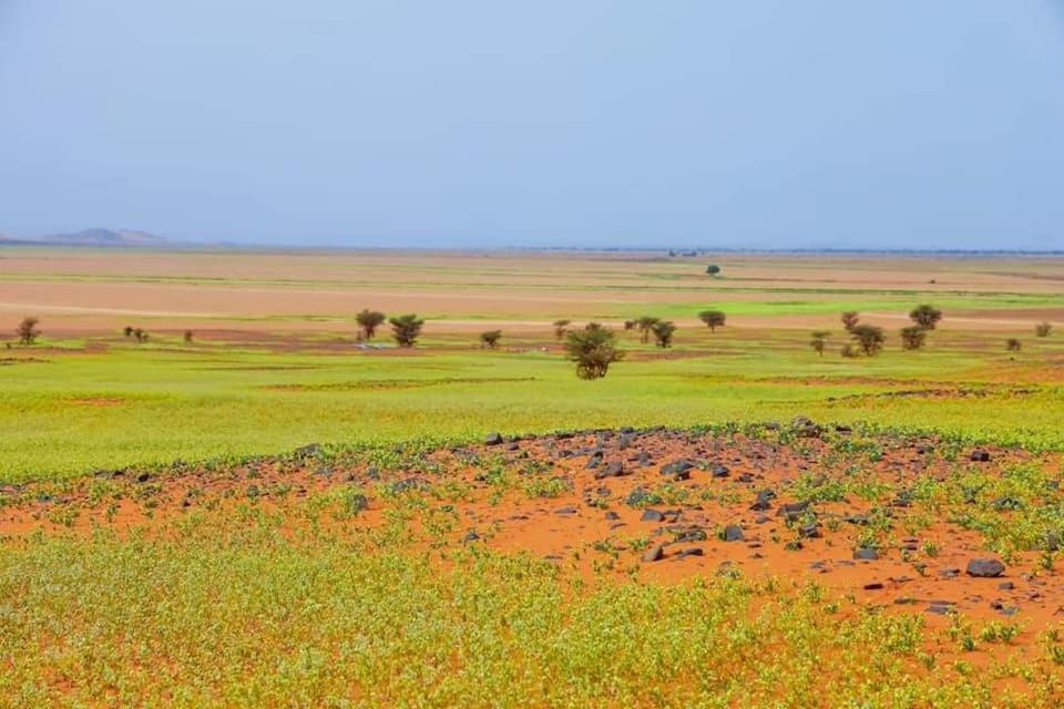 Hotel Auberge Dinosaur Kem Kem Tafraoute Sidi Ali Exteriér fotografie